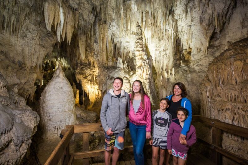 Aranui Cave 1-Hour Guided Tour - Key Points