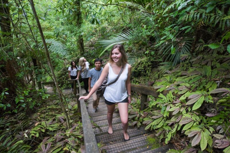 Aranui Cave 1-Hour Guided Tour - FAQ About the Aranui Cave Guided Tour