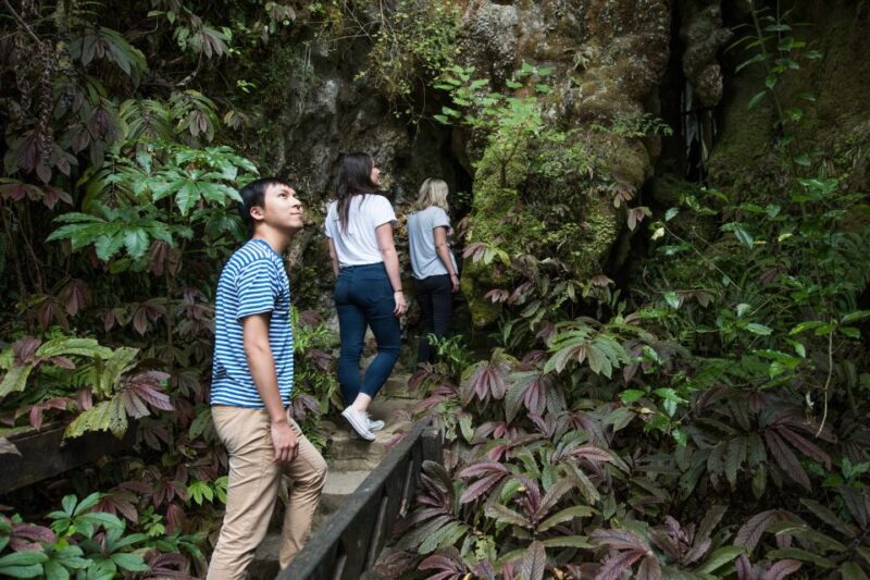 Aranui Cave 1-Hour Guided Tour - Final Thoughts