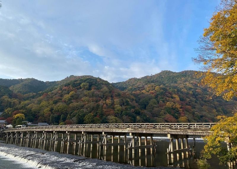 Arashiyama 3-Hour UNESCO Site & Monkey Park Tour - Who should book this walk?