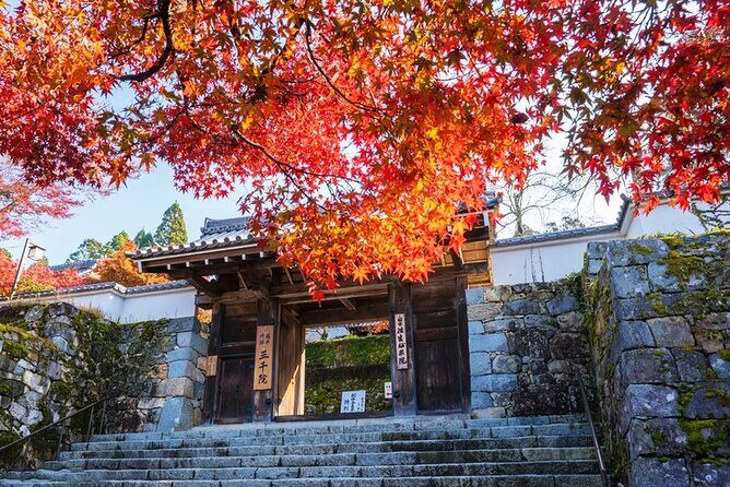 Arashiyama Autumn Leaves & Sanzen-in Temple Tour from Osaka/kyoto - The Practicalities