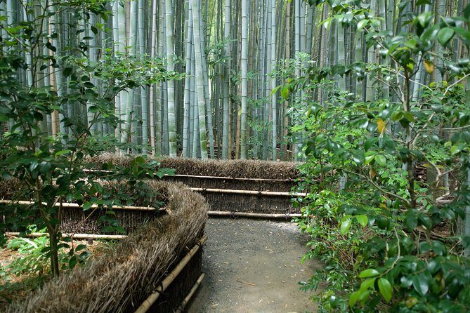 Arashiyama Bamboo Forest E-Biking Tour - An In-Depth Look at the Kyoto E-Bike Tour