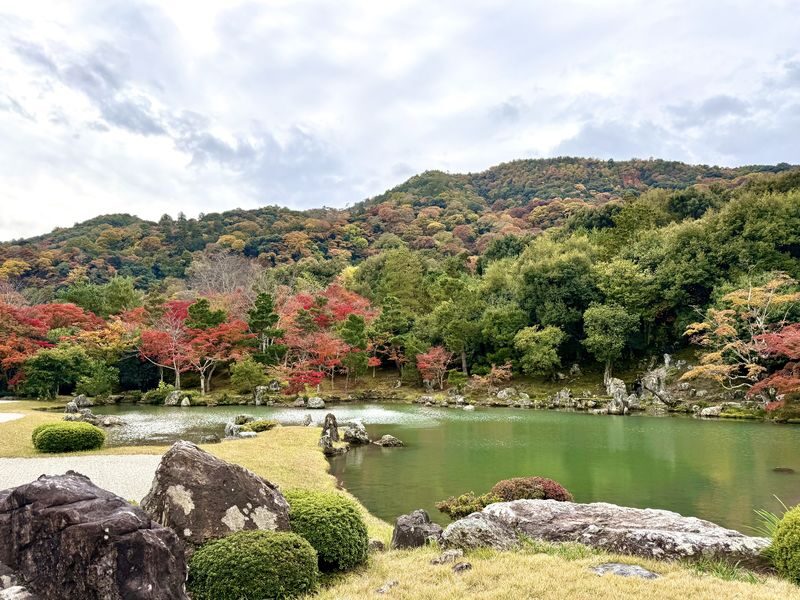 Arashiyama Bamboo Forest Half-day Temple & UNESCO site Tour - Views, local tips, and the monkey finale
