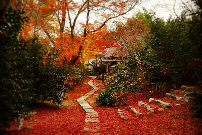 Arashiyama Bamboo Forest & Hidden Gems Bike Tour (Early Bird) - Final Thoughts