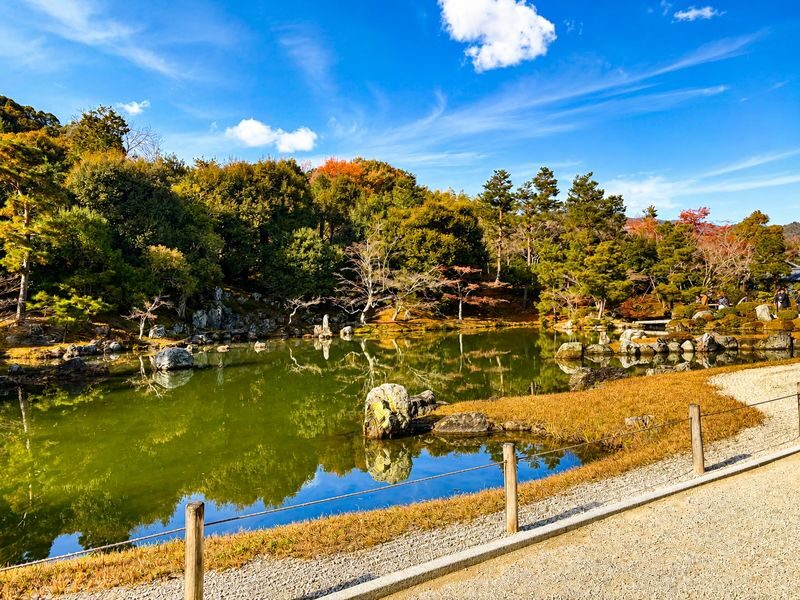 Arashiyama Bamboo Forest & Nara Park Deer & Fushimi Inari Shrine Torii Gate Day Tour (Departing from Osaka/Kyoto) - Fushimi Inari: a walk through the red gates