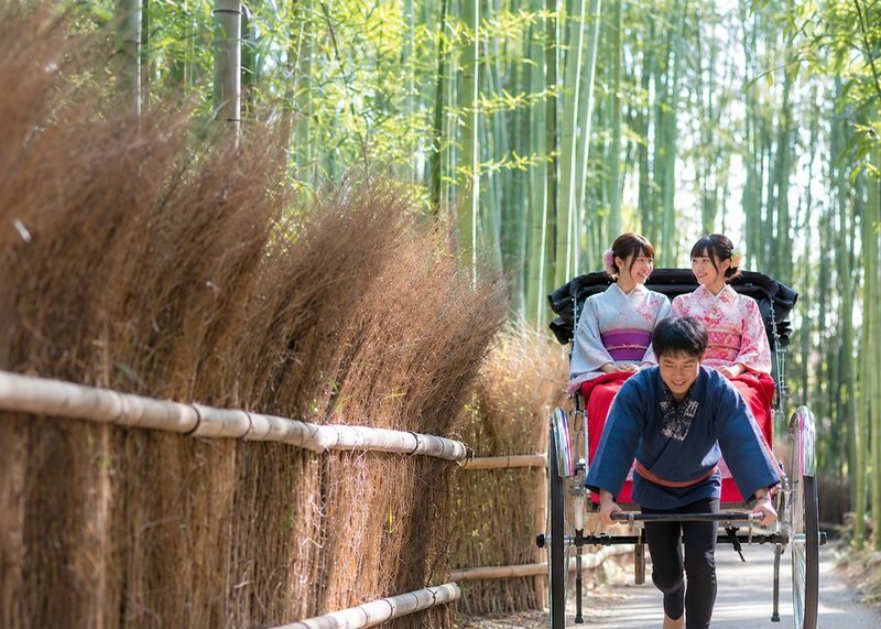 Arashiyama Bamboo Forest & Nara Park Deer & Fushimi Inari Shrine Torii Gate Day Tour (Departing from Osaka/Kyoto) - What the guide and bus add