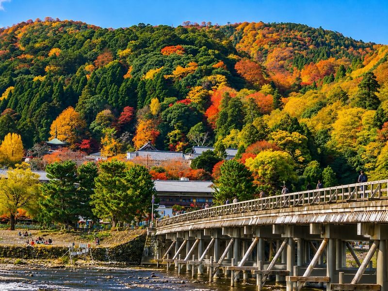 Arashiyama Bamboo Forest & Nara Park Deer & Fushimi Inari Shrine Torii Gate Day Tour (Departing from Osaka/Kyoto) - Is $44.85 good value?