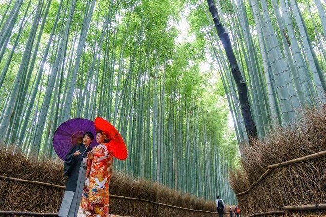 Arashiyama Bamboo Grove Day Trip from Kyoto with a Local: Private & Personalized - A Deep Dive into the Arashiyama Day Trip