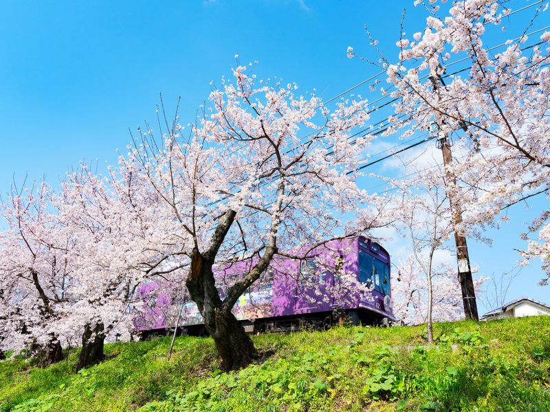 Arashiyama Gourmet Coupon + Randen 1 Day Free Ticket - What the Randen and snack coupon actually give you