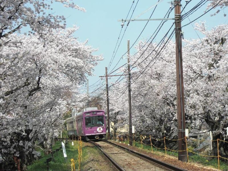 Arashiyama Gourmet Coupon + Randen 1 Day Free Ticket - Use the tram to widen your Kyoto day