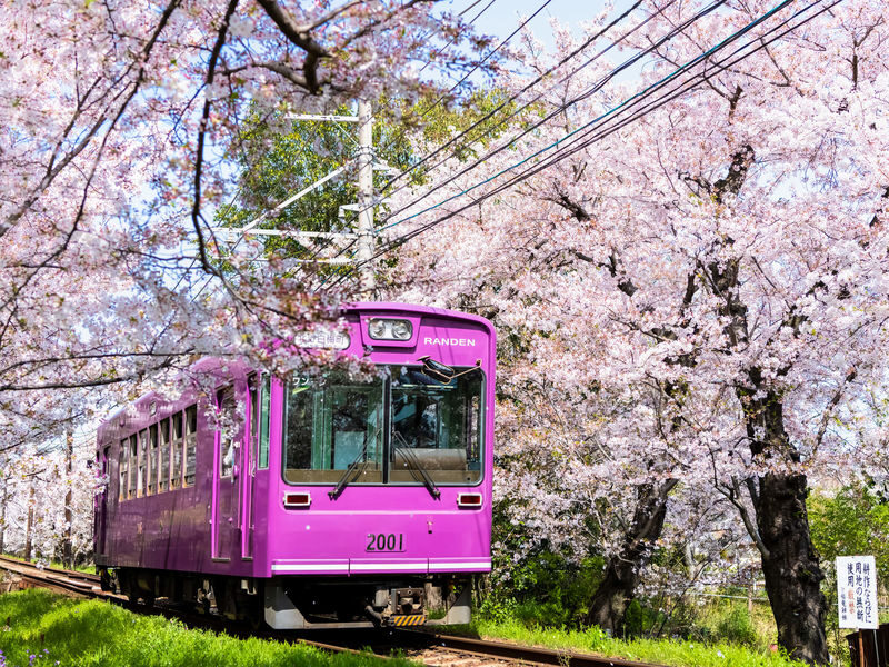 Arashiyama Gourmet Coupon + Randen 1 Day Free Ticket - Is the pass good value at $7.59?