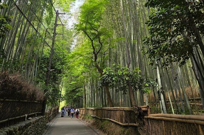 Arashiyama Half Day Tour - FAQ