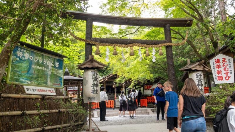 Arashiyama Hidden Gems: Walking Tour escaping crowds - Key Points