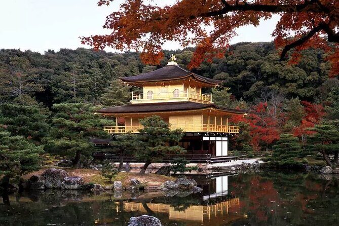 Arashiyama Kinkakuji Temple Nara Park Tour from Osaka and Kyoto - A Detailed Look at the Tour Experience