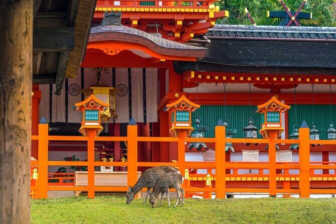 Arashiyama & Nara Highlights: One-Day Private Tour Adventure - FAQ