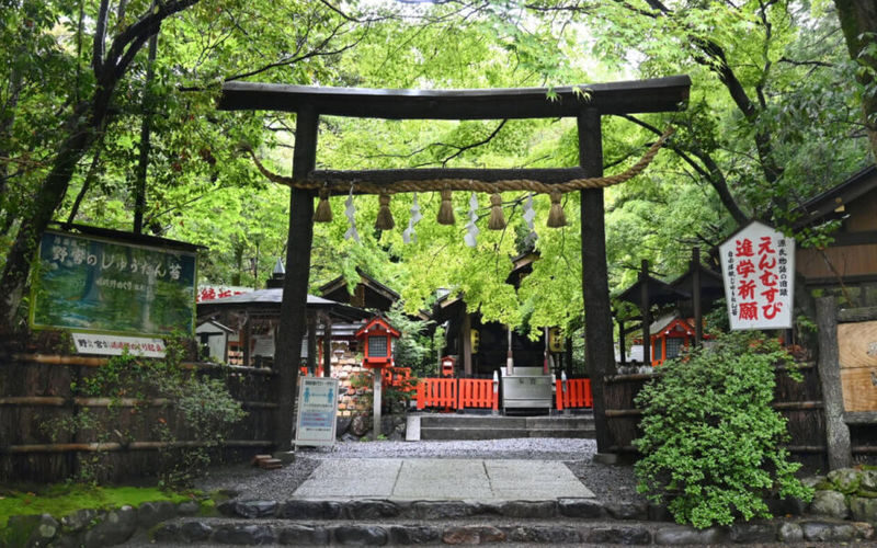 Arashiyama Sagano Train & Hozugawa River Full-Day Cruise - A Kyoto day built around rail, river, and Arashiyama