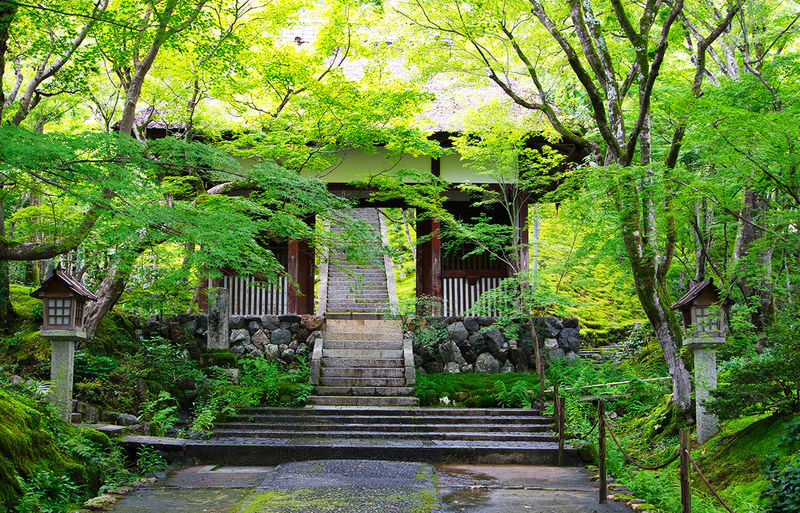 Arashiyama Sagano Train & Hozugawa River Full-Day Cruise - Arashiyama’s bamboo path and Togetsukyo Bridge