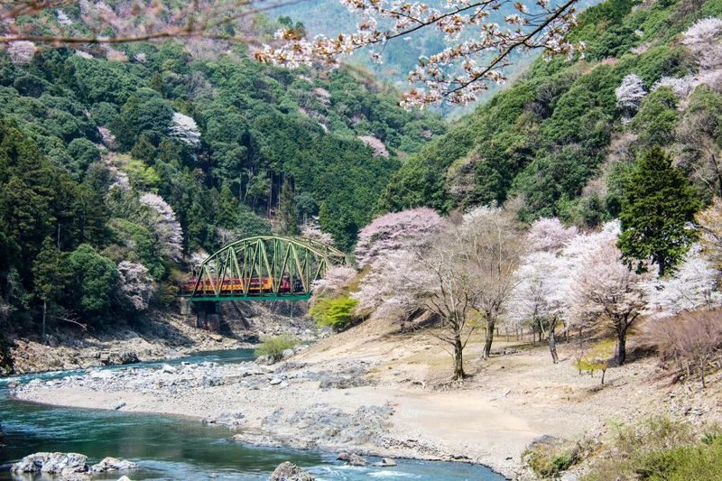 Arashiyama Sagano Train & Hozugawa River Full-Day Cruise - Who should book this trip?