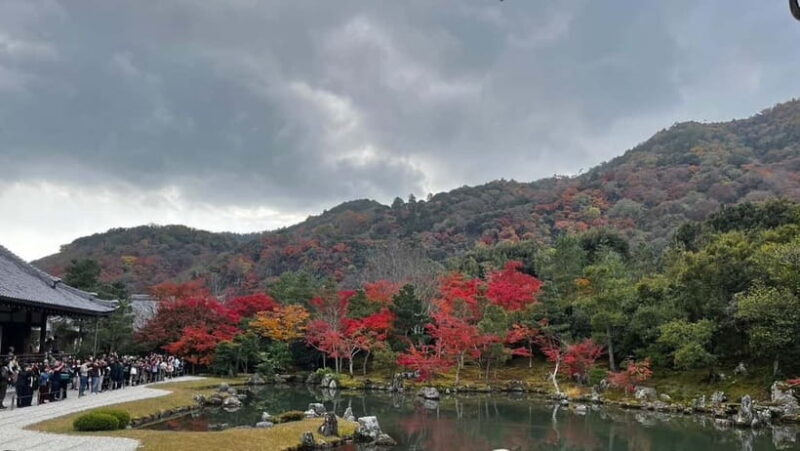 Arashiyama/Tenryu-ji Temple Guided Tour - What the Tour Looks Like