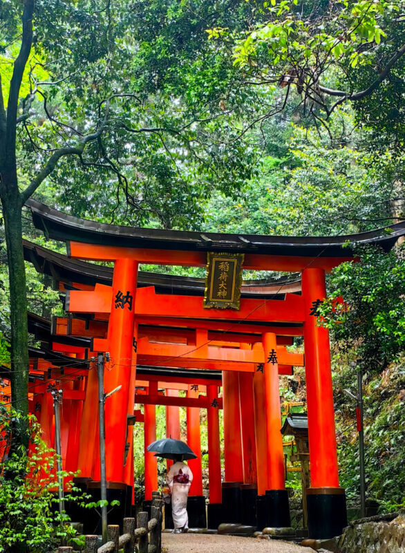 Arashiyama Togetsukyo Bridge & Bamboo Forest Path & Nara Park & Fushimi Inari-taisha Shrine Senbon Torii One-Day Tour (Departing from Osaka) - Three headline sights, one early start