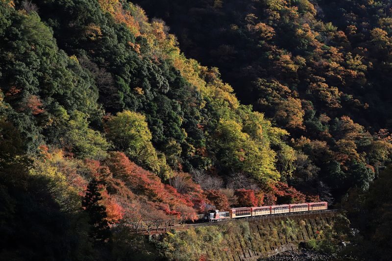 Arashiyama Tour with Optional Sagano Romantic Train Ride - Arashiyama in one guided walk