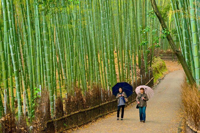Arashiyama, Yasaka Shrine, Hanamikoji Todaiji Day Tour From Osaka - Final Thoughts: Is This Tour Right for You?