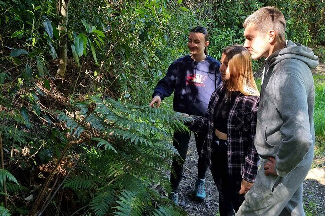 Arataki Conservation - our Journey to Protect our Whenua (land) - Who It’s Best For