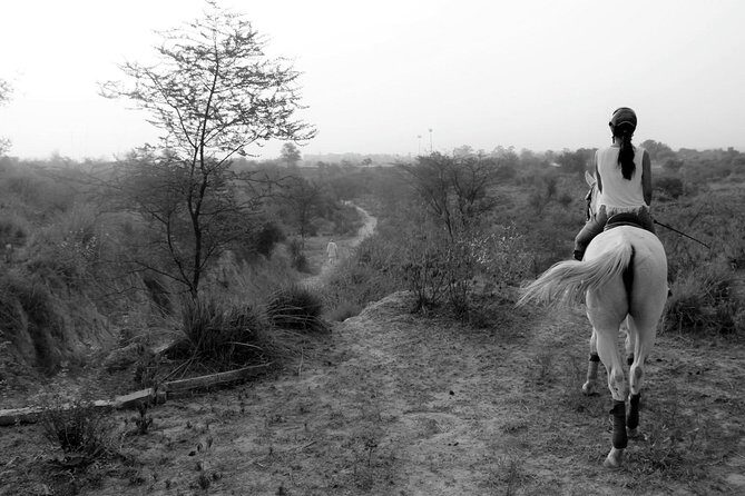 Aravali Trail Experience( Jungle Safari Forest area)- Horseback Riding - An In-Depth Look at the Aravali Trail Experience