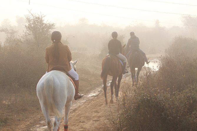 Aravali Trail Experience( Jungle Safari Forest area)- Horseback Riding - The Sum Up
