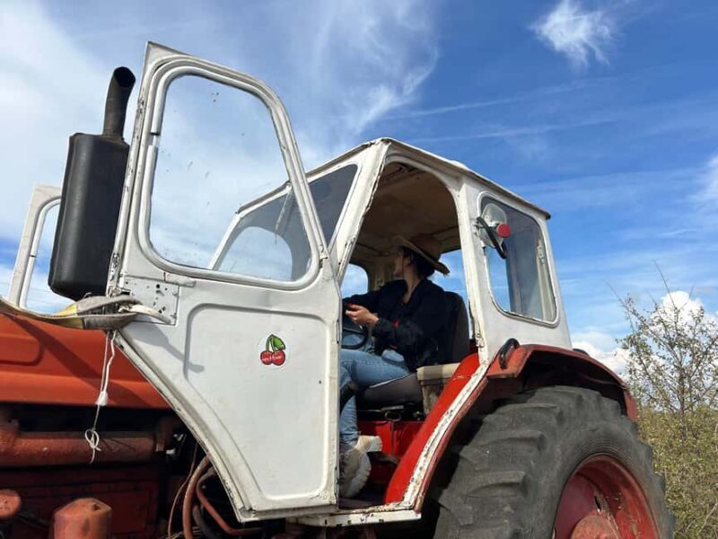 Arbanasi: 40-Minute Tractor Self-Driving Experience - Is This Tour Worth the Price?