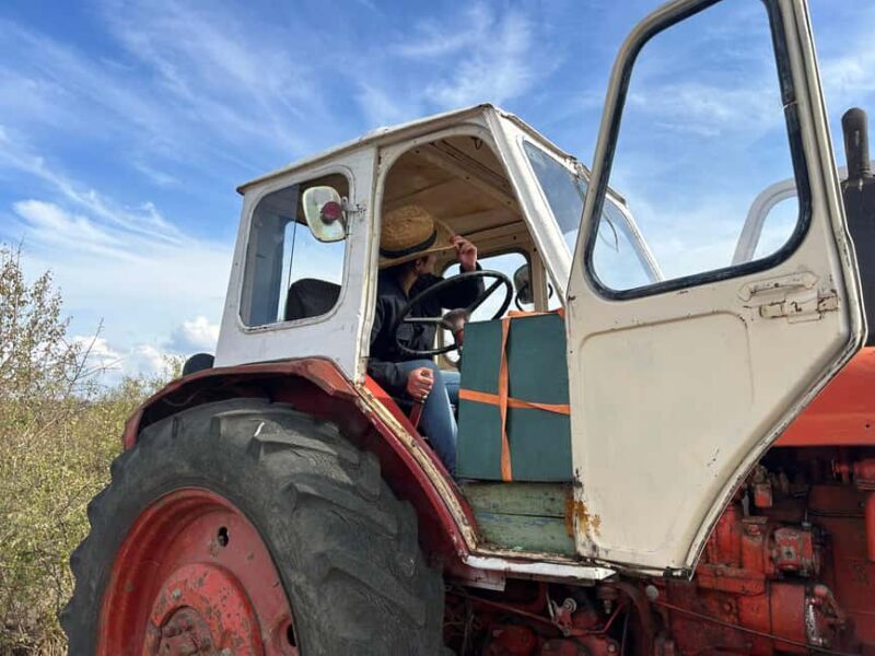 Arbanasi: 40-Minute Tractor Self-Driving Experience - Who Would Enjoy This Experience?