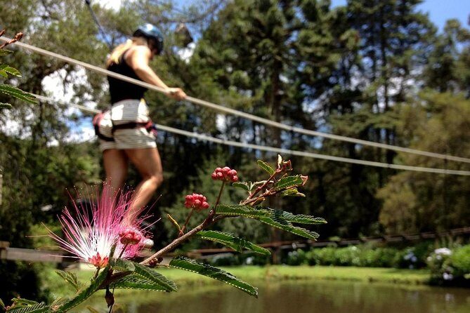 Arborismo in Horto Florestal - Campos Do Jordão - Key Points