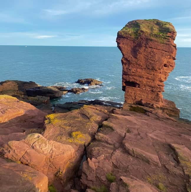 Arbroath: Seaton Cliffs Guided Walking Tour with Geologist - Key Points