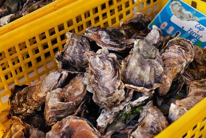 Arcachon Bay Full Day Trip from Bordeaux with lunch and Pyla Dune - The Sum Up: Is This Tour Right for You?