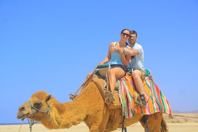 Arch Camel Ride and Glass Boat Tour - Who Is This Tour Best For?