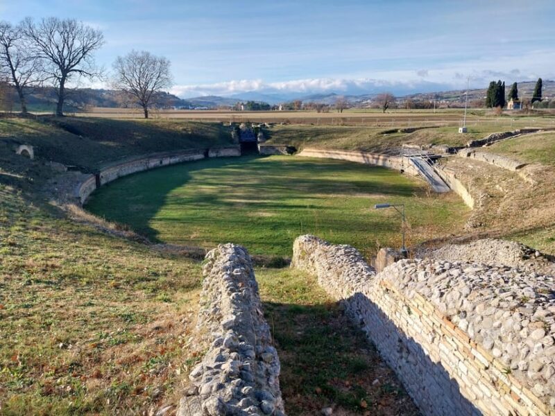 Archaeological Park of Suasa: ticket and guided tour - Who Should Visit the Archaeological Park of Suasa?