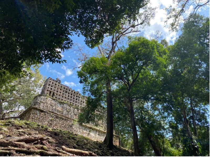 Archaeological Zones Yaxchilan & Bonampak - An In-Depth Look at What You Can Expect