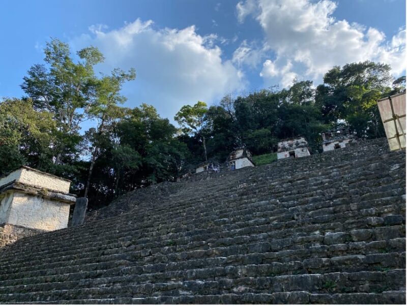 Archaeological Zones Yaxchilan & Bonampak - Who Should Consider This Tour?