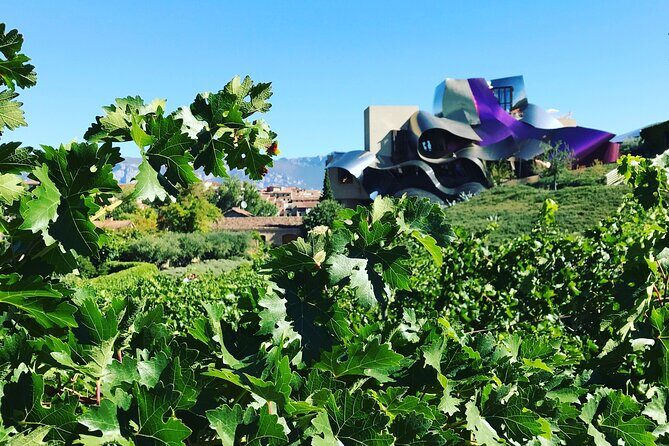 Architectural Rioja Small Group Wine Tour with Lunch from Bilbao - Practical Tips for Your Day