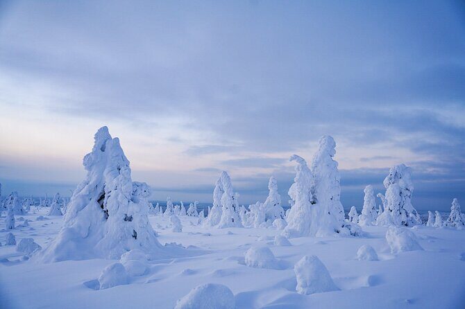 Arctic Adventure through Magical Frozen Forests of Riisitunturi - What’s Included and What’s Not