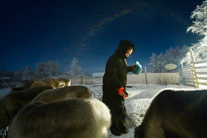 Arctic Adventure with Reindeer and Northern Lights Hunt 18:30 pm - Who Should Consider This Tour?