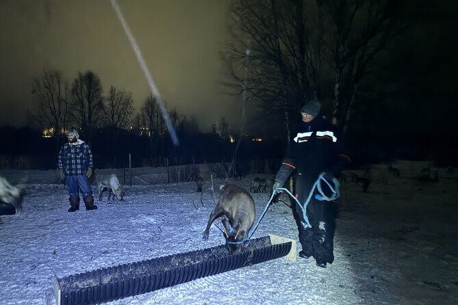 Arctic Adventure with Reindeer and Northern Lights Hunt 18:30 pm - FAQ