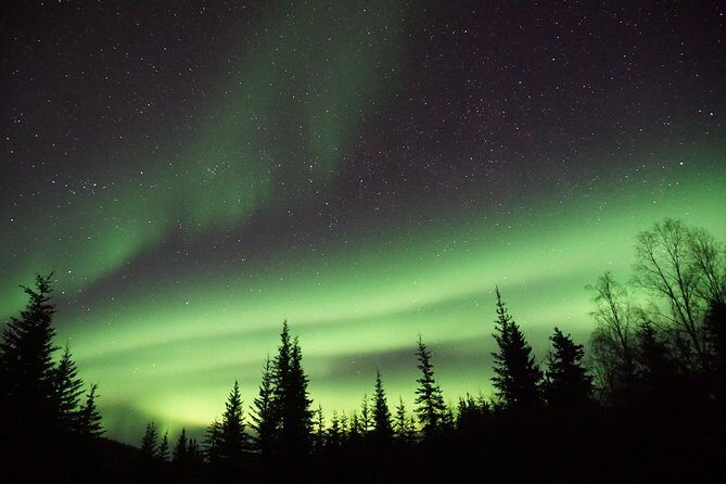 Arctic Circle and Northern Lights Tour from Fairbanks - Who Will Love This Tour?
