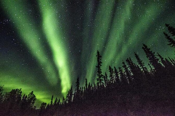 Arctic Circle and Northern Lights Tour from Fairbanks - Final Thoughts: Is This Tour Right for You?