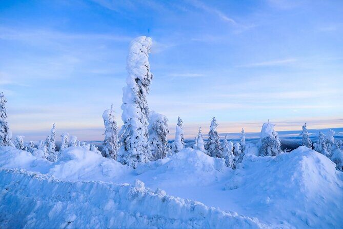 Arctic Circle Day Tour Adventure - Key Points