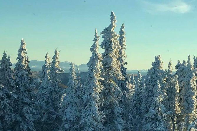 Arctic Circle Day Trip from Fairbanks with Transportation - FAQ