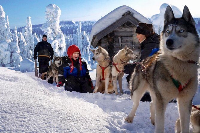Arctic Circle Family Day - Final Thoughts