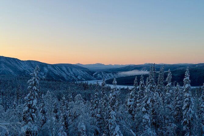 Arctic Circle Northern Lights Dalton Highway Winter Tour - An In-Depth Look at the Arctic Circle Dalton Highway Winter Tour