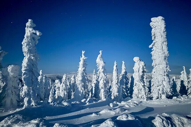 Arctic Circle Northern Lights Dalton Highway Winter Tour - Final Thoughts