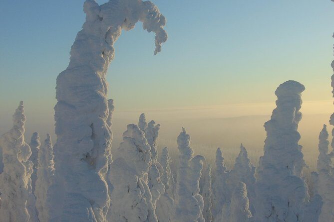 Arctic Circle Winter Drive Adventure - Key Points